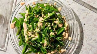 An assortment of snow peas and snap peas in a bowl drizzled with a creamy sauce.