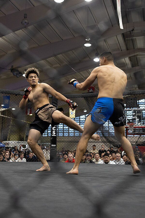 Vicente Luque seli se u srednju kategoriju i debituje protiv Kelvina Gasteluma na UFC-u 327