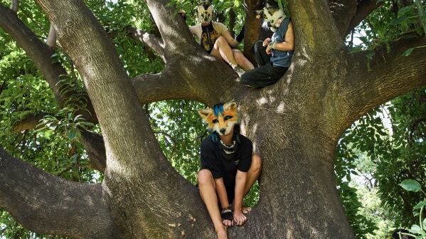 Youths climb a tree during a gathering of therians, people who say they identify as non-human animals, at a square in Buenos Aires, Argentina, Sunday, Feb. 22, 2026. (AP Photo/Rodrigo Abd)