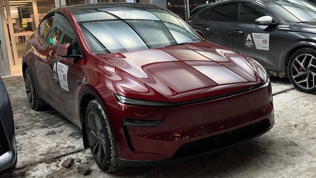 Tesla Model Y na cesti.