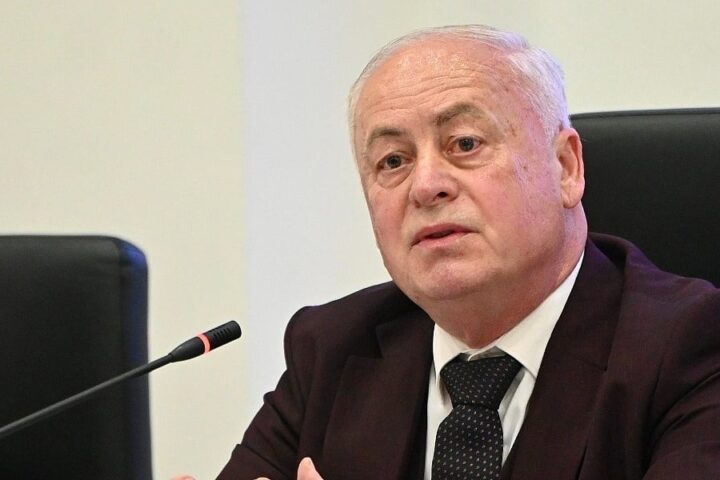 Arnautović: Zakone koje je nametnuo Schmidt ne može poništiti politička volja
