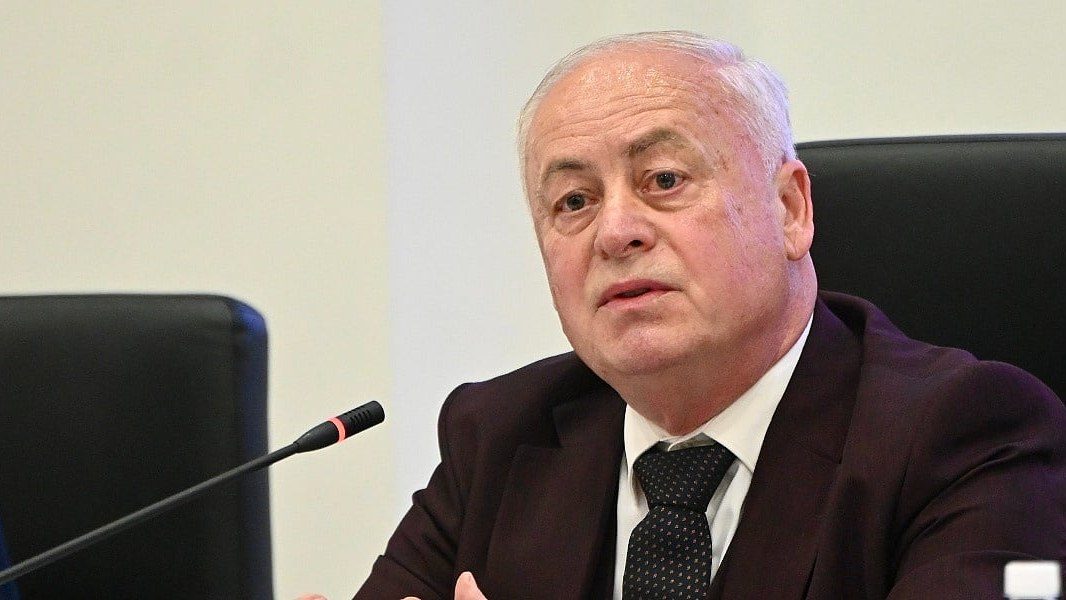Arnautović: Zakone koje je nametnuo Schmidt ne može poništiti politička volja