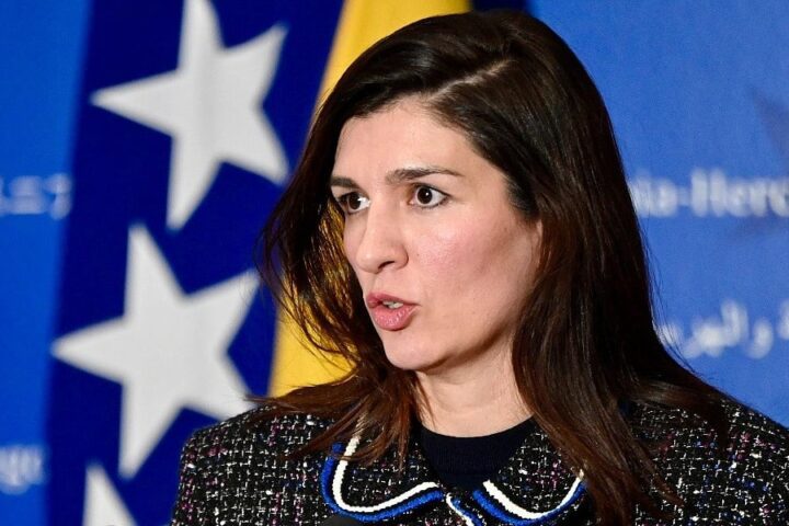 Ćudić: HDZ u Domu naroda radi u interesu Milorada Dodika, ne Hrvata