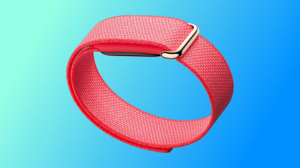 Google Fitbit Air fitness narukvica