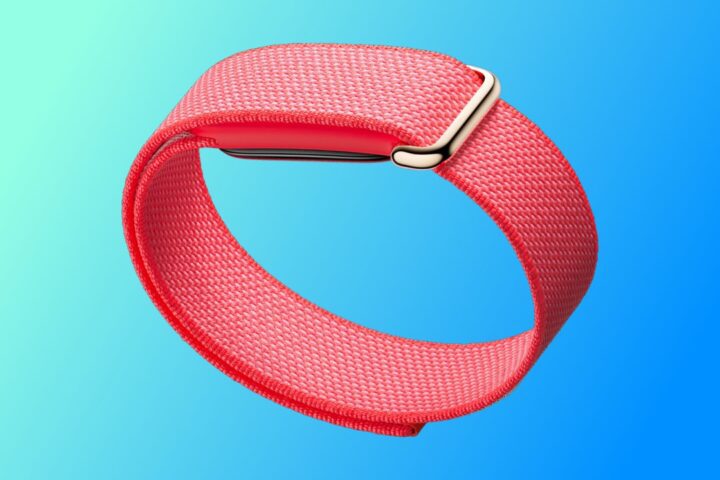 Google Fitbit Air fitness narukvica