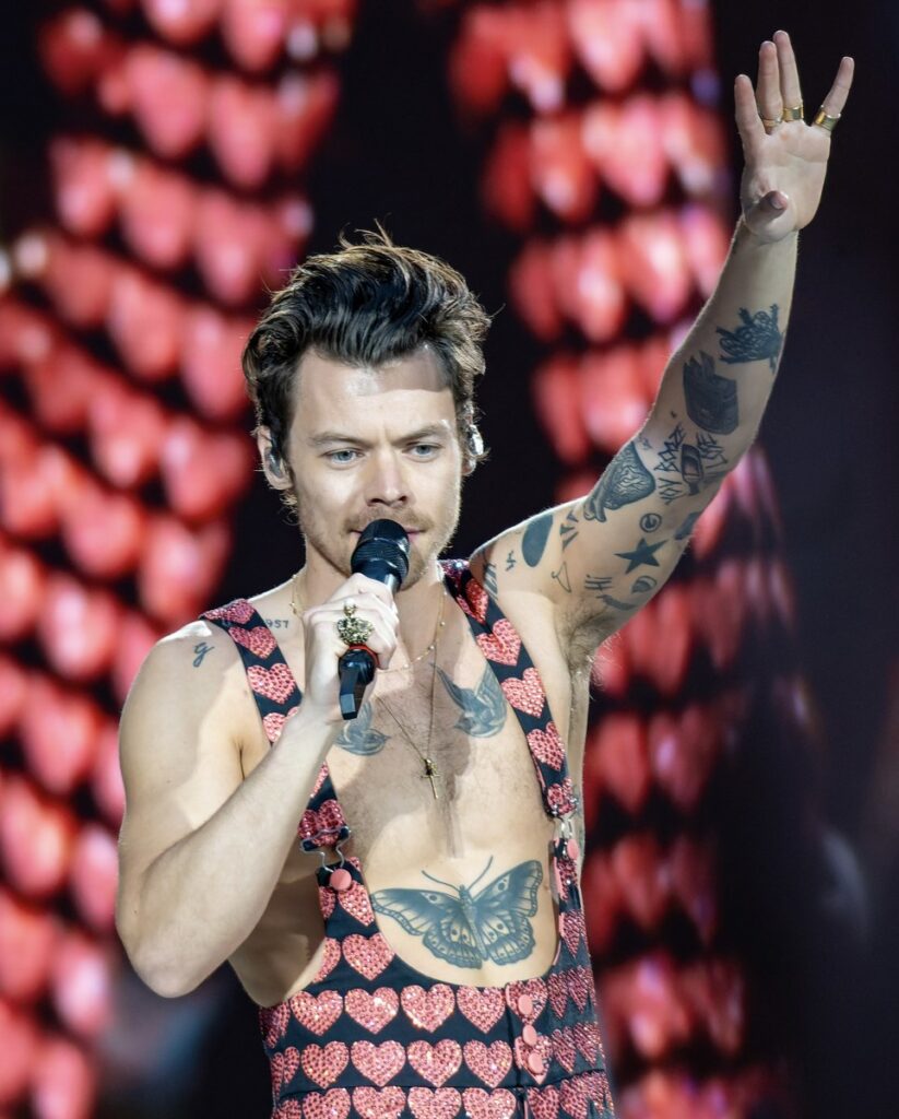 Harry Styles na koncertu, arhivska fotografija