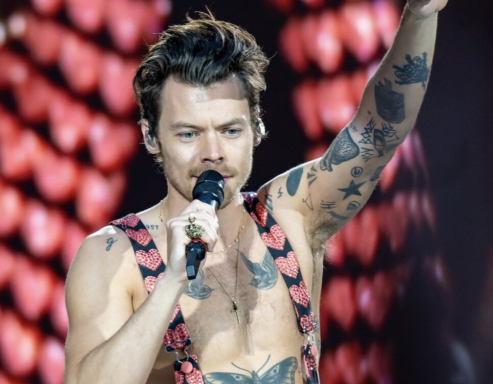 Harry Styles na koncertu, arhivska fotografija