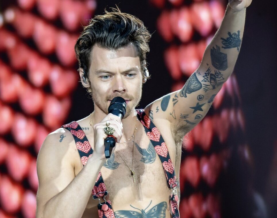 Harry Styles na koncertu, arhivska fotografija