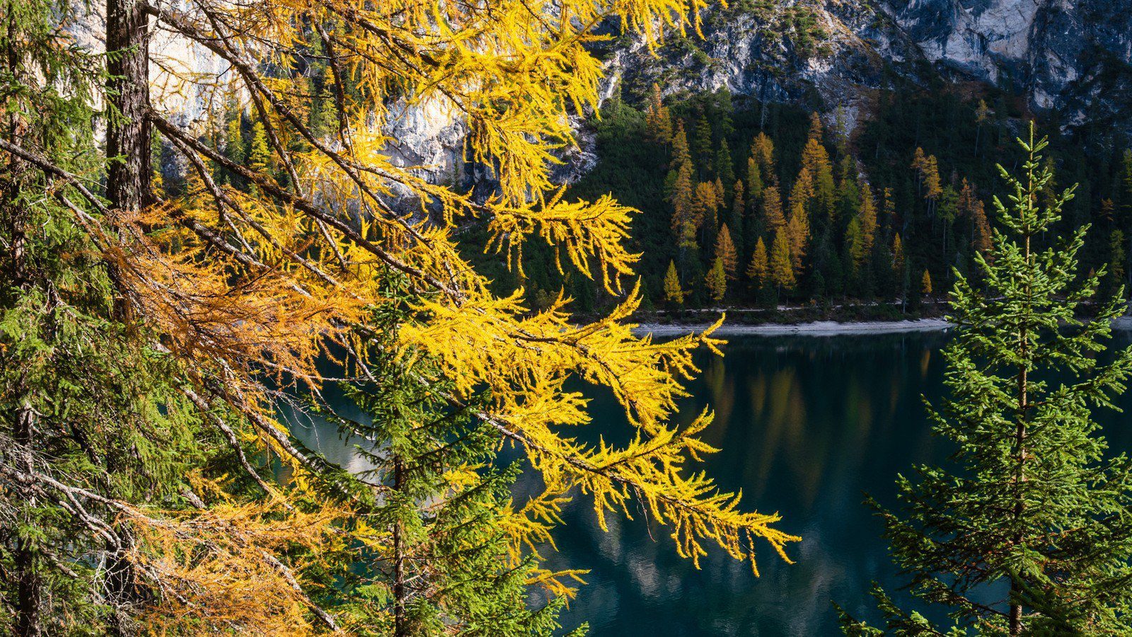 Jesenski pogled na Lago di Braies u Dolomitima s toplim bojama krajolika.