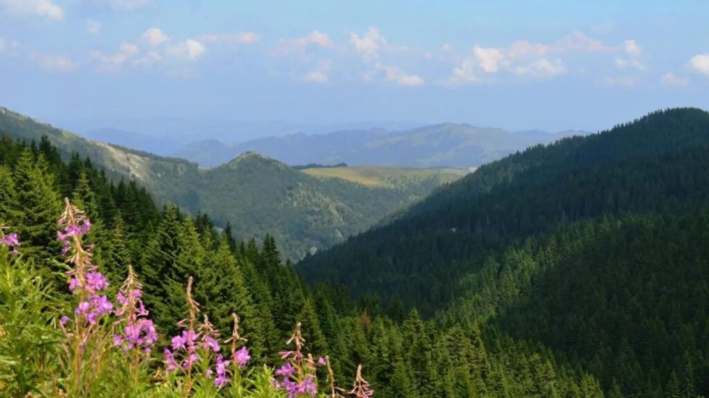 WWF: Srbija je 16. maja ušla u ekološki dug