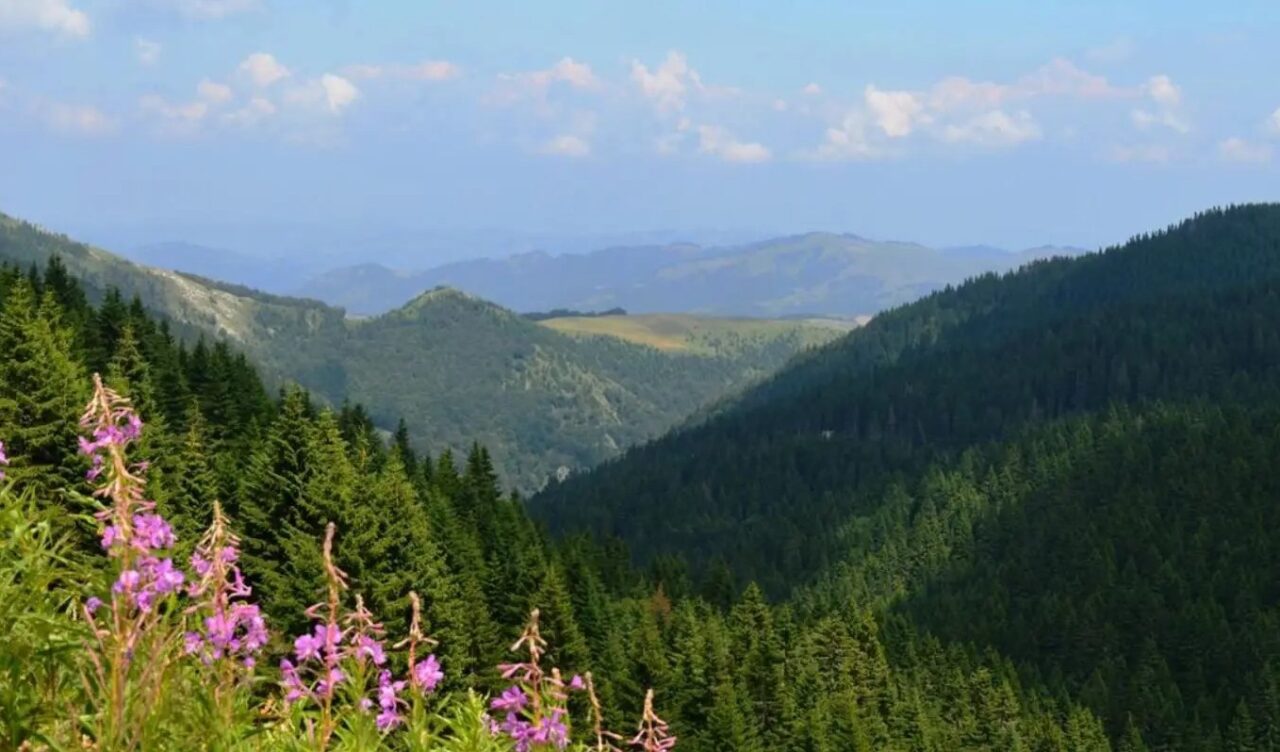 WWF: Srbija je 16. maja ušla u ekološki dug