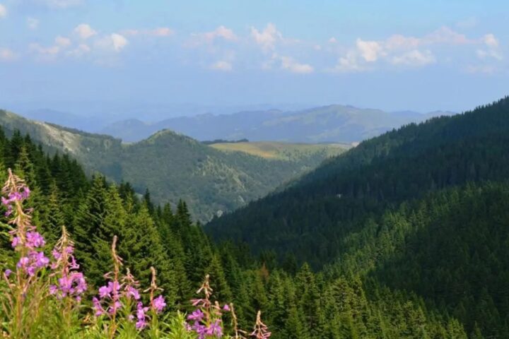 WWF: Srbija je 16. maja ušla u ekološki dug