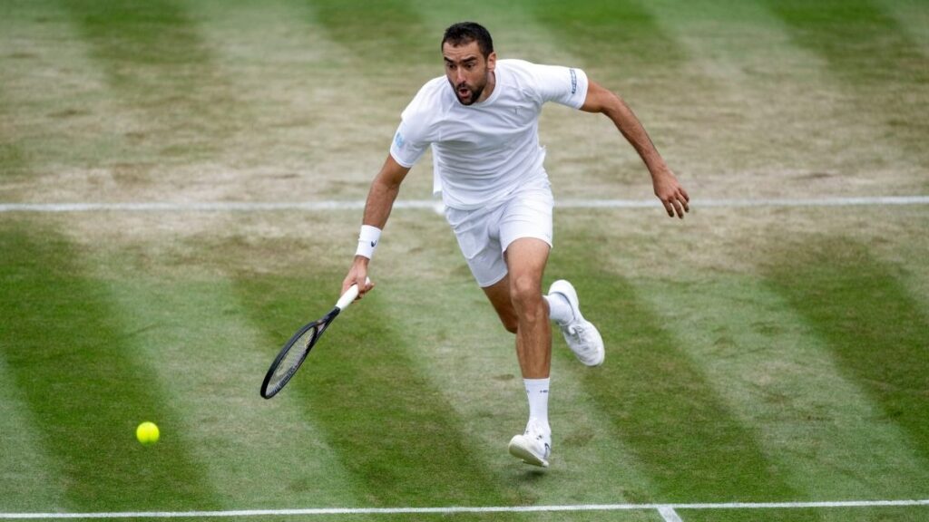 Čilić ispao u prvom kolu Wimbledona, Prižmić nakon preokreta prošao dalje