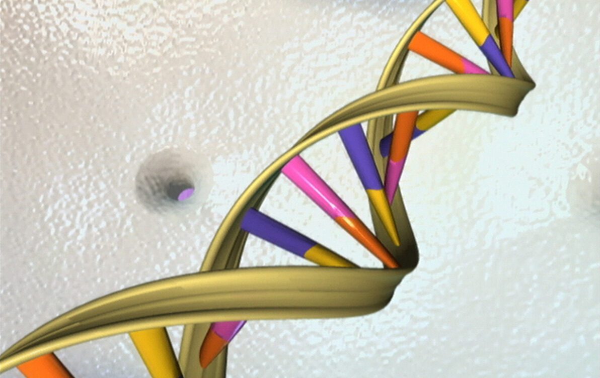 DNA double helix