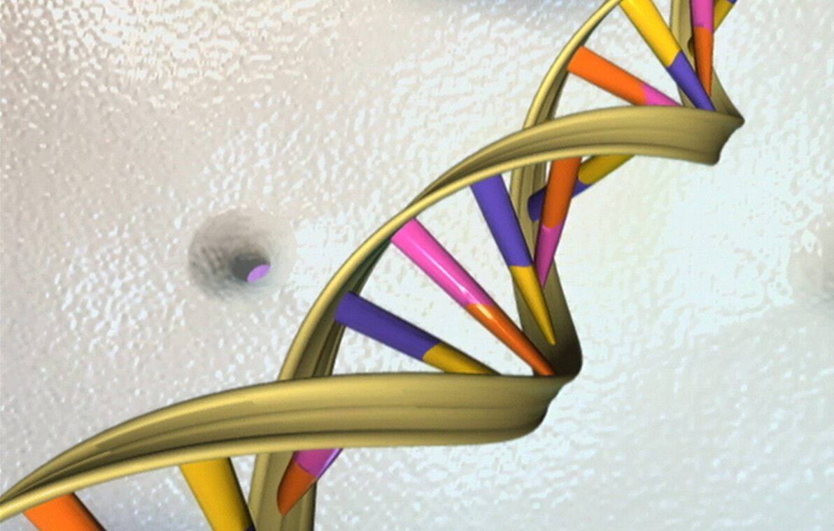 DNA double helix