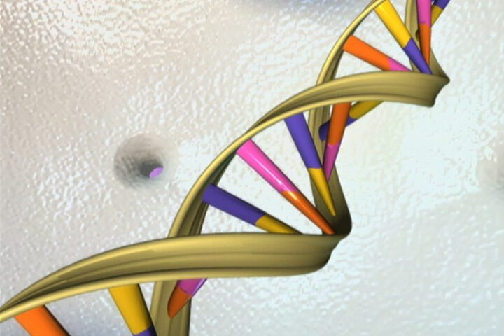DNA double helix