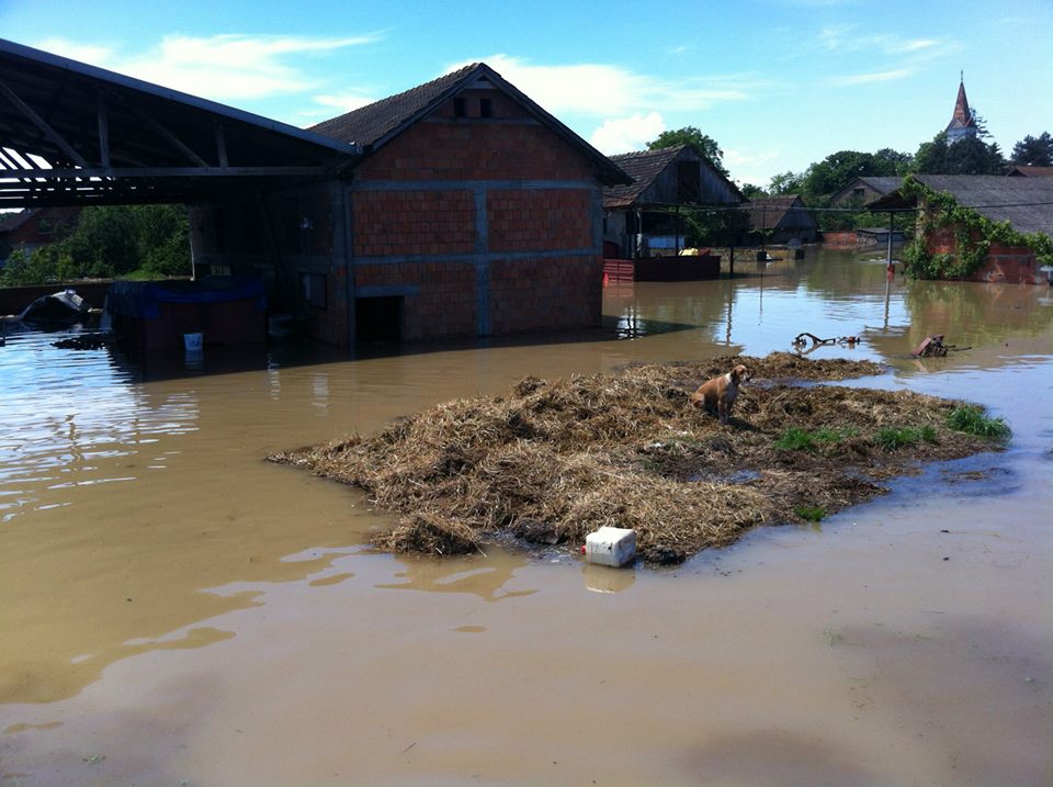 Flood damage in Croatia