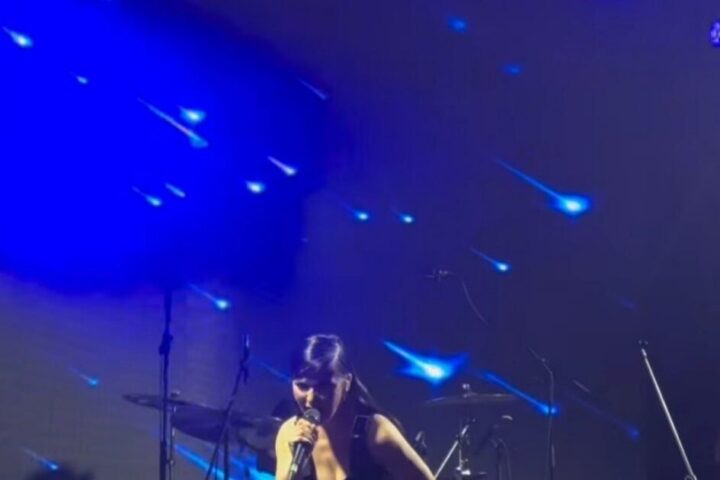 Vesna Pisarović održala koncert na Street Food Marketu u Sarajevu