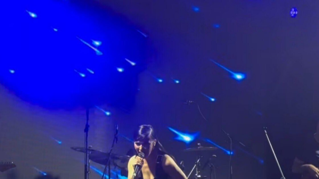 Vesna Pisarović održala koncert na Street Food Marketu u Sarajevu