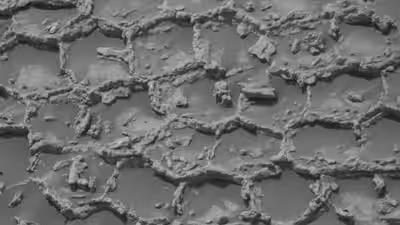 Curiosity na Marsu snimio neobičnu mrežu nalik pčelinjem saću