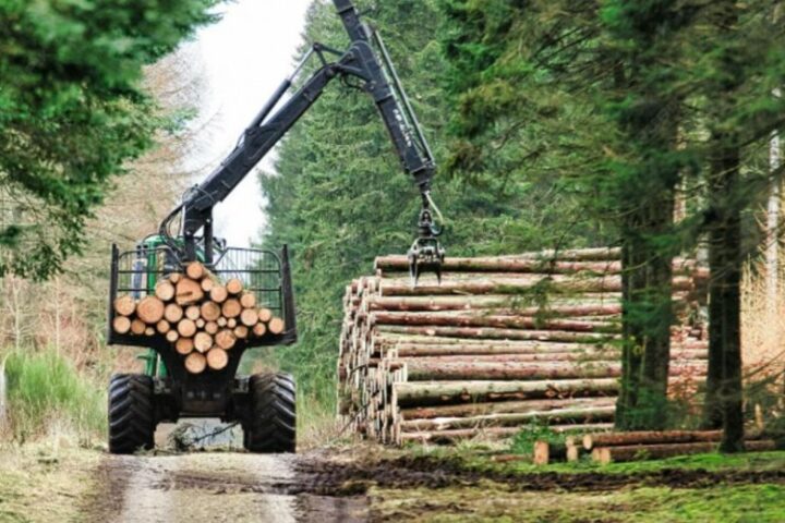 HNŽ bi napokon mogla dobiti zakon o šumarstvu