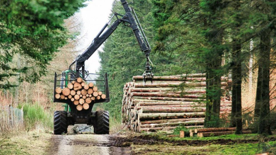 HNŽ bi napokon mogla dobiti zakon o šumarstvu
