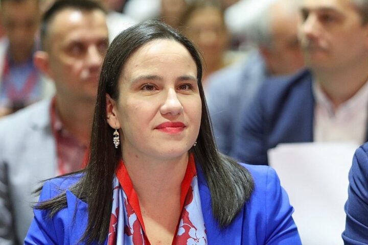 Karić najavila završetak radova na mostu Ars Aevi iduće sedmice i objavu dokumentacije