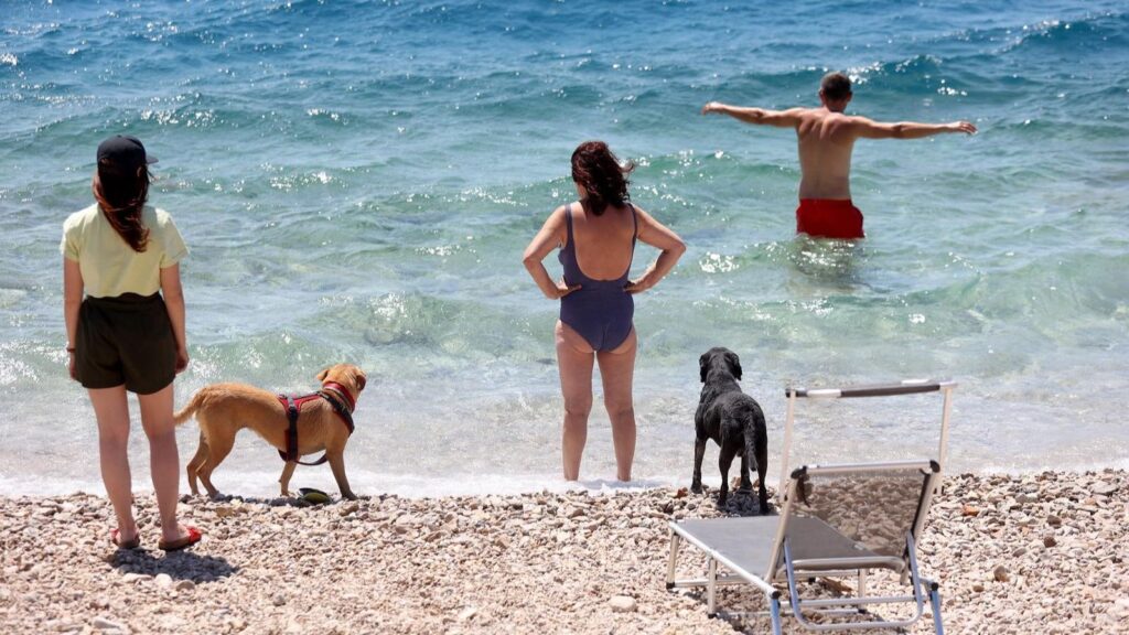 Manje gužve na dijelovima hrvatskog Jadrana: Zagrepčanka opisala praznije plaže, trajekte i ugostiteljske objekte