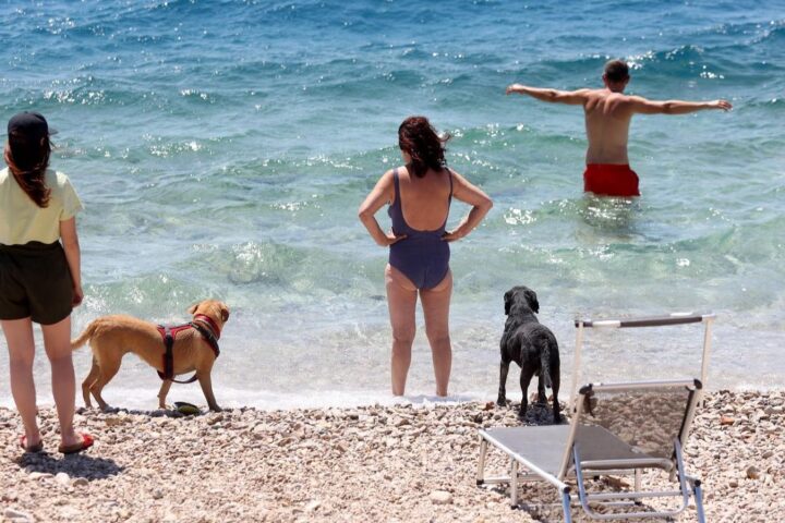 Manje gužve na dijelovima hrvatskog Jadrana: Zagrepčanka opisala praznije plaže, trajekte i ugostiteljske objekte