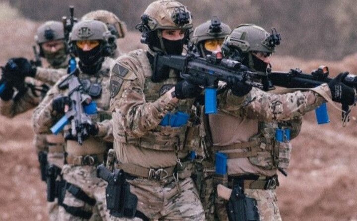 U policijskim agencijama BiH raste manjak kadra, Granična policija ispod 50 posto popunjenosti
