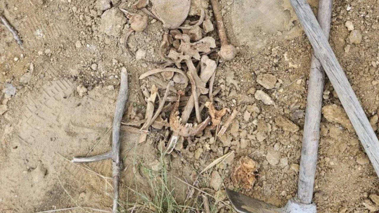 U šumi kod Bukovlja pronađeni ljudska lubanja i kosti, policija utvrđuje podrijetlo