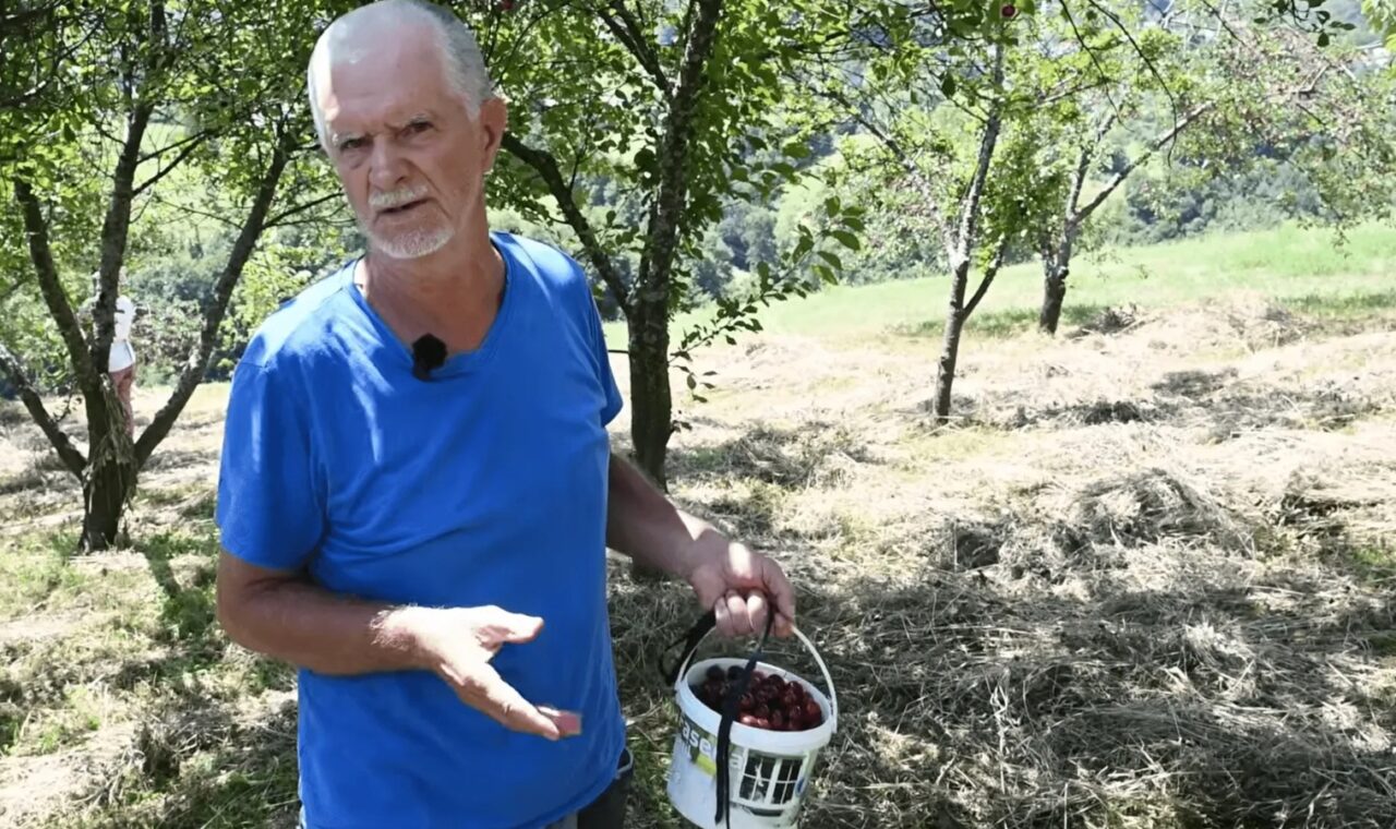 Voćar iz Novog Travnika prodaje neprskane višnje, a kupci traže i kalibraciju i vađenje košpica