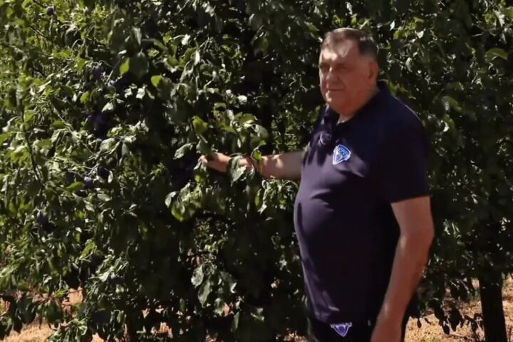 Dodik objavio snimak berbe šljiva i poručio da je šljiva simbol srpstva i tradicije