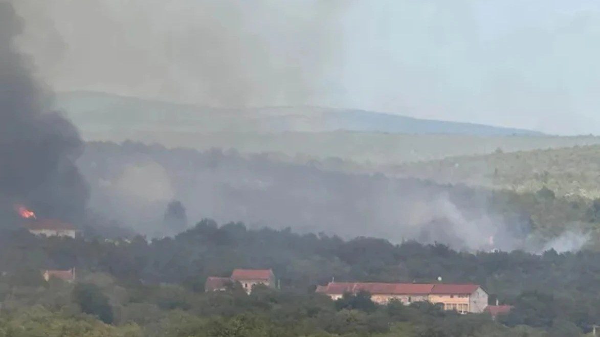 FUP objavio snimke iz zraka akcije „Veja“ u Drežnici, pronađeno 1.679 stabljika kanabisa