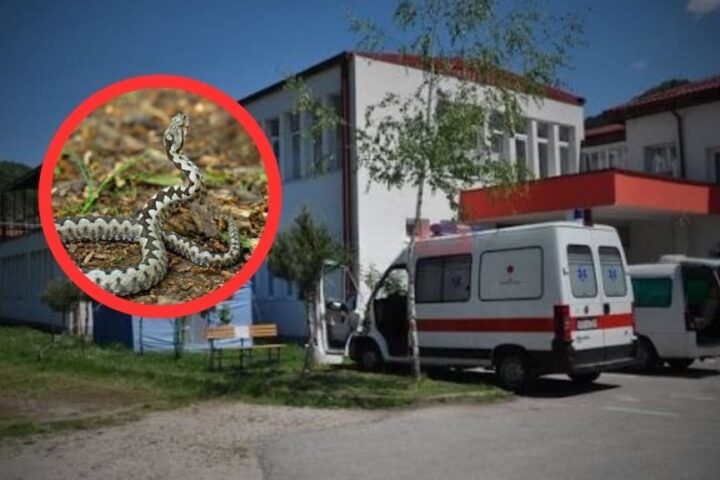 Mladića ugrizao poskok, obitelj tvrdi da su ga iz Jablanice prema Mostaru poslali bez seruma