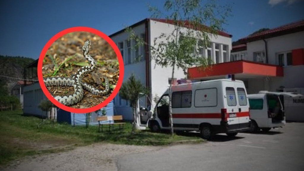 Mladića ugrizao poskok, obitelj tvrdi da su ga iz Jablanice prema Mostaru poslali bez seruma