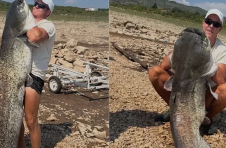 Na Bilećkom jezeru ulovljen som dug 2,06 metara i težak 50 kilograma
