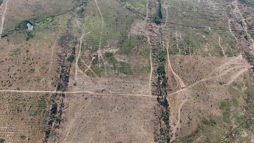 Nevesinje: Centar za životnu sredinu tvrdi da se sječe drveće i priprema teren za solarne panele unatoč protivljenju građana