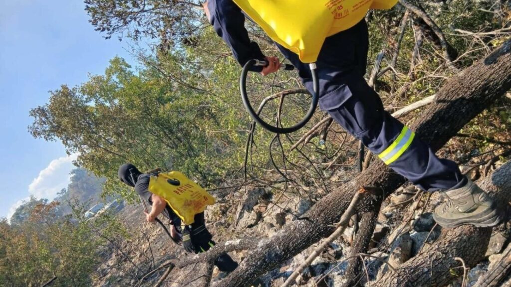 Požar iz Buhova proširio se prema Čitluku, požari u Crnču i Prologu pod nadzorom