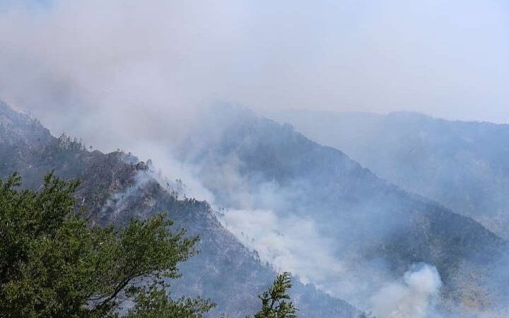 Požar kod Jajca zahvatio oko sedam hektara, helikopter Oružanih snaga BiH nije mogao gasiti vatru zbog minski sumnjivog područja