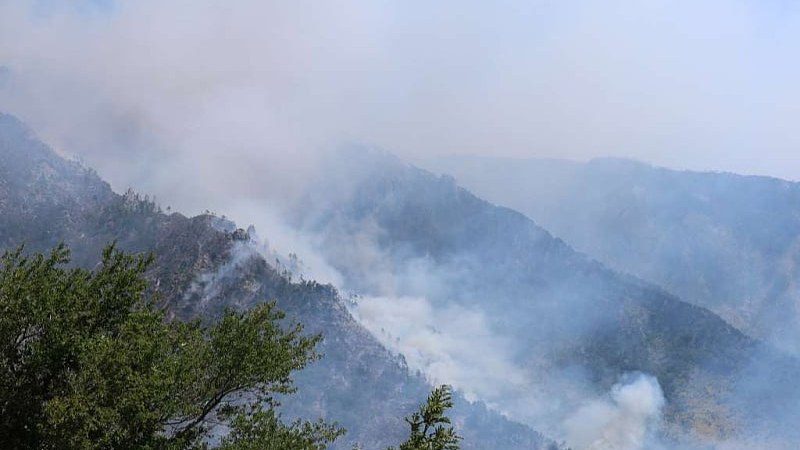 Požar kod Jajca zahvatio oko sedam hektara, helikopter Oružanih snaga BiH nije mogao gasiti vatru zbog minski sumnjivog područja