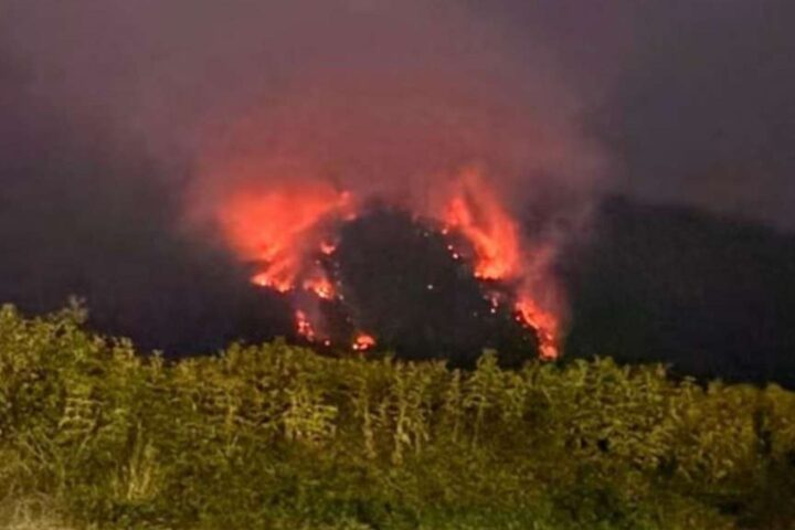 Požar na Plješevici kod Bihaća slabi, na terenu 15 osoba