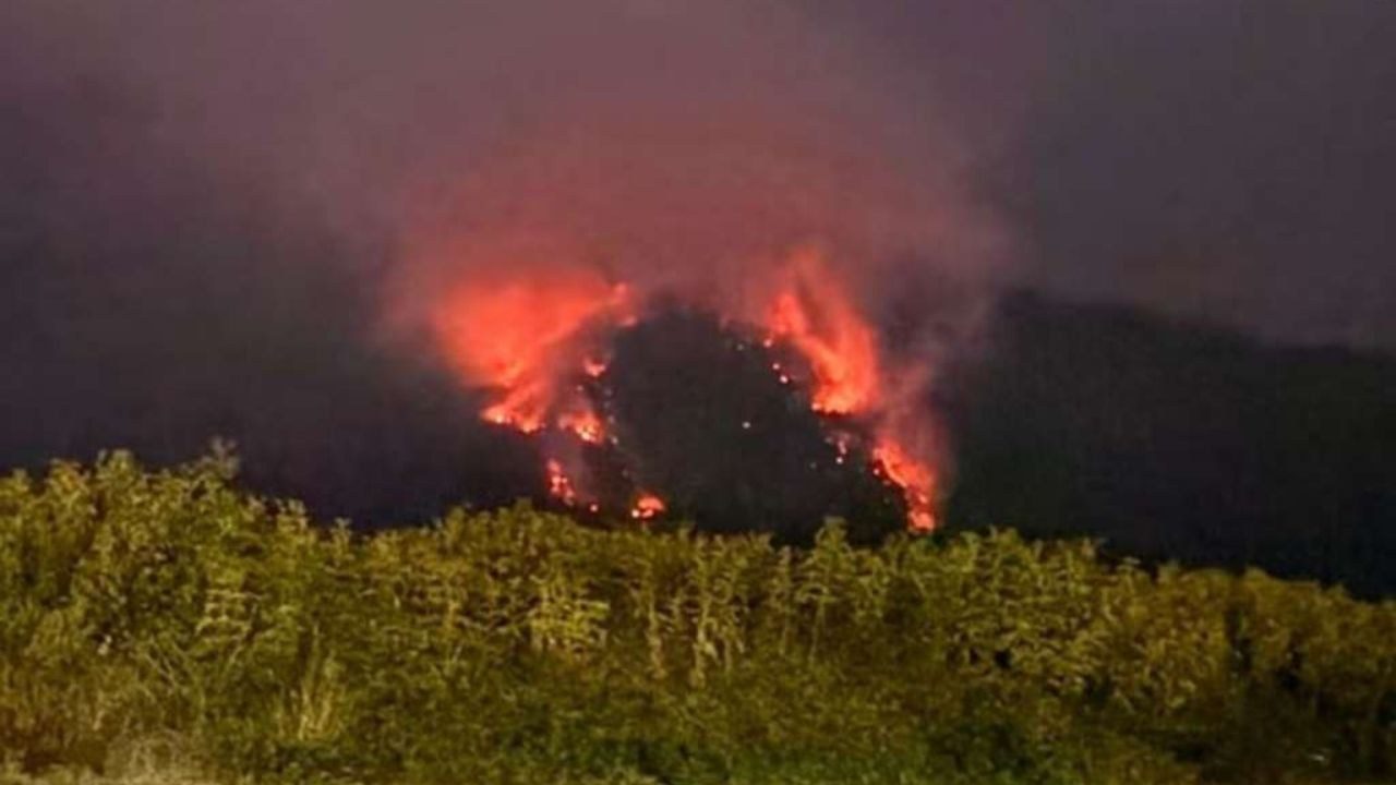 Požar na Plješevici kod Bihaća slabi, na terenu 15 osoba