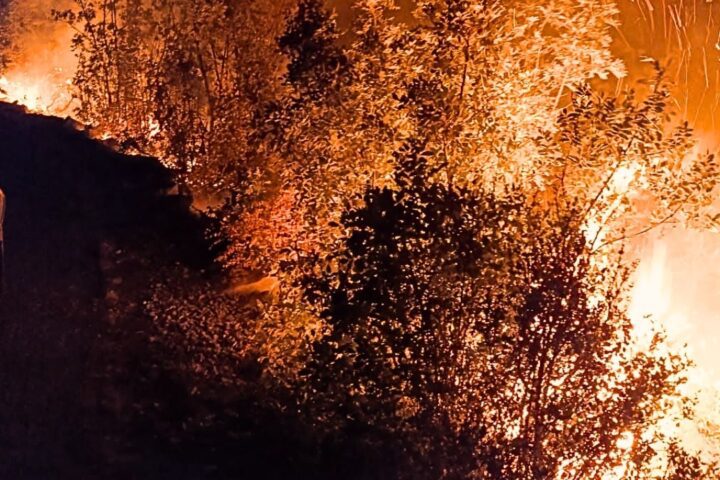 PVP Neum: Dva nova požara očito su podmetnuta